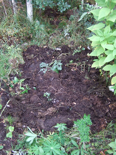 [DSCF33755.jpg]