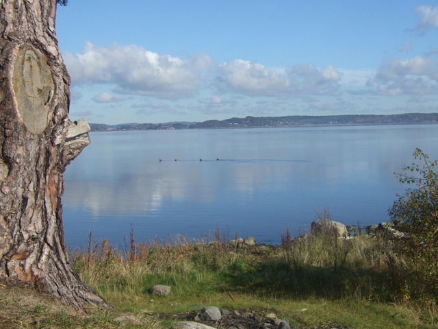 [DSCF35815.jpg]