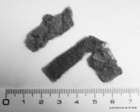 Abb. 4 - Staubfilz-Ablagerungen