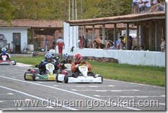 DSC_0393 DSC_0393