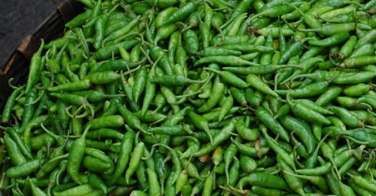 [Chile[14].jpg]