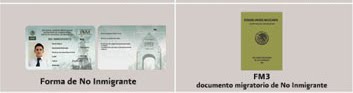 All immigration credential documents