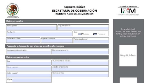 formato basico shot 1