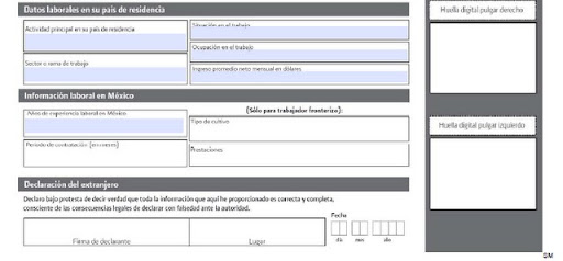 formato basico 3