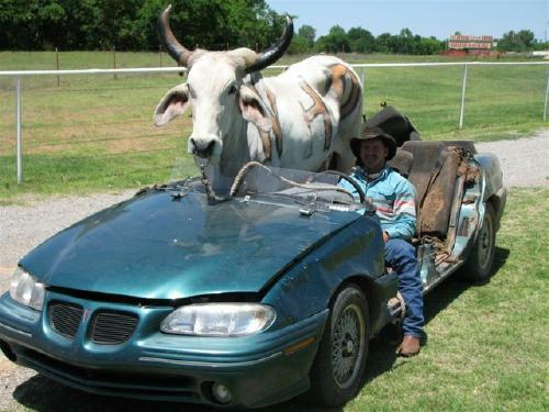 car and bull