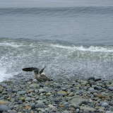 DSC03609.jpg