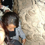 Imagen 120.jpg