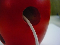 photo worms eating my apple 025