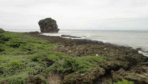 DSC01361.JPG
