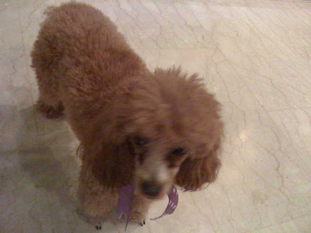 [Picture0222.jpg]