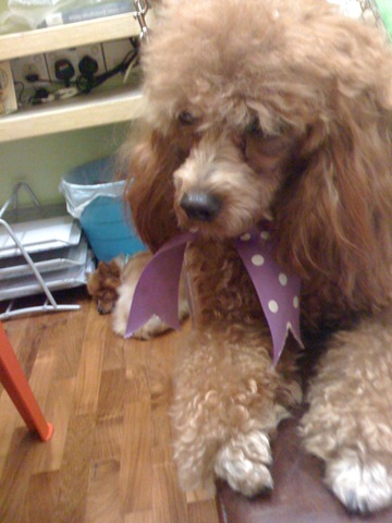[Picture0582.jpg]