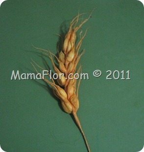 IMG_0419 IMG_0419