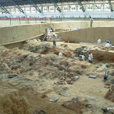 CIMG0767.JPG