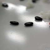 artistic seeds