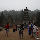 pagoda forest