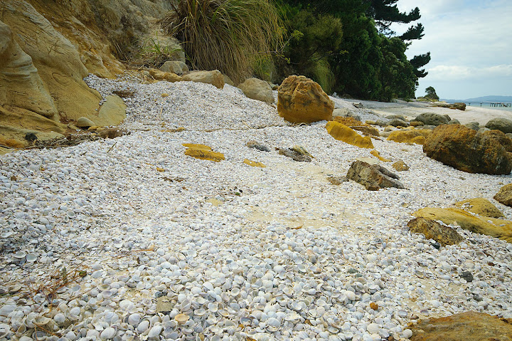 Shelly Beach