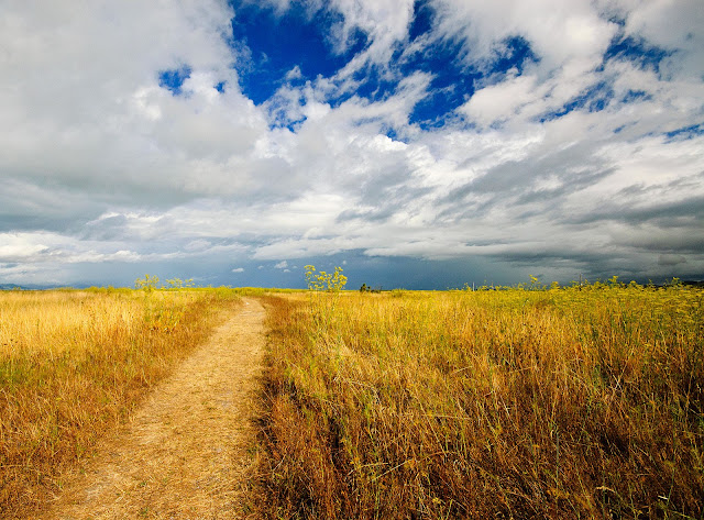 Trail to Miranda Bird Sanctuary