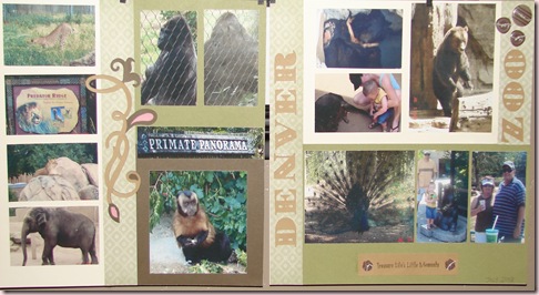 Denver Zoo Blog Pic Denver Zoo Blog Pic