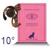 [Patentino-cani10[3].jpg]