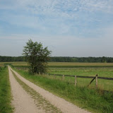 20090807 068.JPG