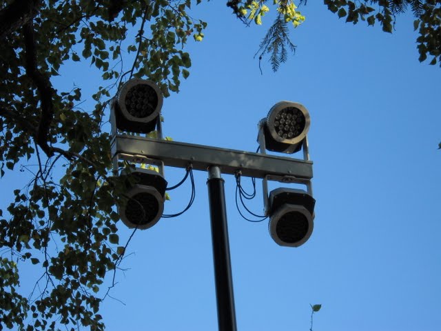 DSCN4784.JPG