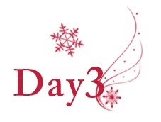 [12daysofchristmasday3-maggielamarre copy[9].jpg]