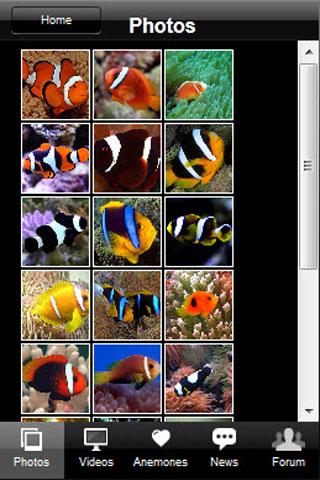 【免費書籍App】Clownfish Care-APP點子