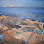 gloucester shore #2