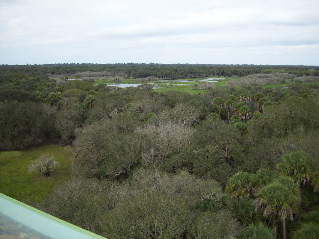 view from the tower
