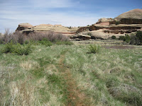 soggy wetlands Photo