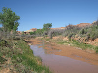 Salt Creek Photo