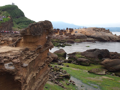 P6264519.JPG