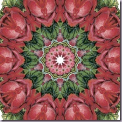 021a