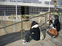 DSCN0142.JPG