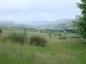 DSC05285.JPG