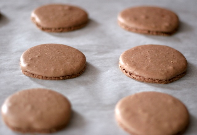 [chocolate macarons 2[1].jpg]