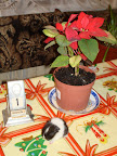 DSC04595.JPG