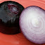 Onion 'Rossa Lunga di Firenze'