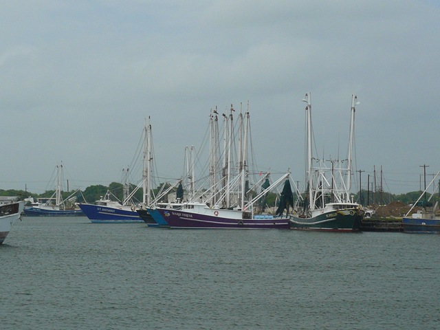 [P11205694.jpg]