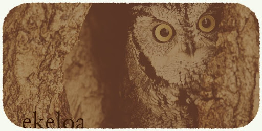 Ekeloa.com Entry Page