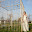 small_MG_0555.jpg