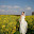 small_MG_0339.jpg