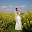 small_MG_0328.jpg