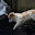 small_mg_1466.jpg