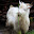 small_mg_1784.jpg