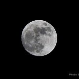 small_MG_5270_1.jpg