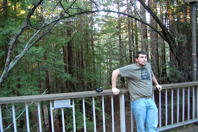 Scout senses danger...a cougar?