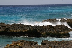 IMG_0668