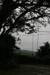 IMG_0295