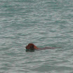 DSCN4864.jpg